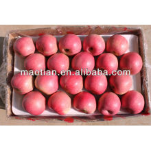Hochwertiger Qinguan Apfel